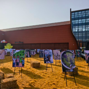 宜兴实验场：数字游民、酿酒与仍然想拍电影的小外