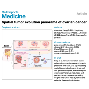 761-卵巢癌空间肿瘤演化的多组学全景图