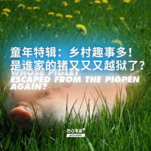 童年特辑：乡村趣事多！是谁家的猪又又又越狱了？