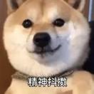 坐家不上班