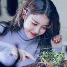 时间煮雨我煮周