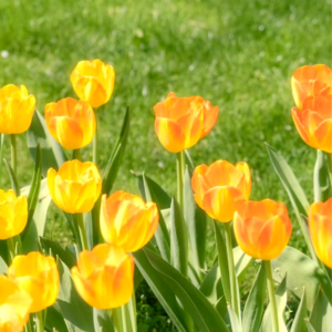 VOL475.我只赞许那些一边哭泣,一边赶路的人。