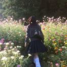 I_sland