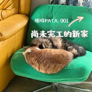 啪嗒001. 尚未完工的家