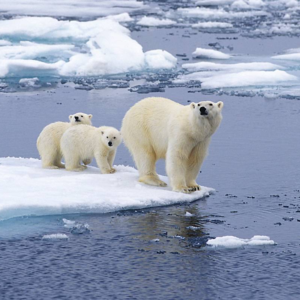 EP77 哥大教授的一堂人生课：自闭症孩子教会我关于脆弱、社区与韧性