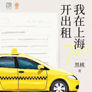 #31狠书解构《我在上海开出租》与40位阴暗的人一同深挖朴实文本下真实窒息的线索