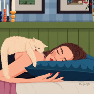 Vol.30 睡眠：没有什么事，比今晚睡个好觉更重要