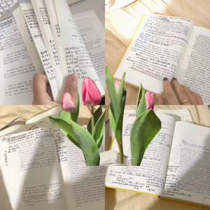32 | 新坑邀请函-翻开《资治通鉴》第一页