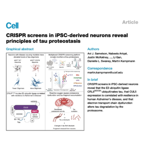 539-CRISPR Screens Reveal Neuronal Tau Proteostasis