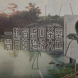81.一起盲流凶杀案背后的“超级大鱼”|老警察讲故事