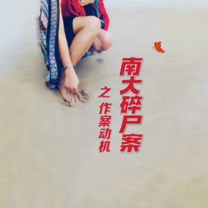 关于南大碎尸案的想法（一）作案动机｜红途呓㖨