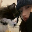 不熬夜耶耶