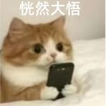 我痛恨自己不勇敢