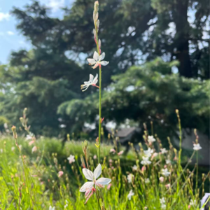 S1E48 在热爱与安稳之间，学会听见自己爱折腾的心