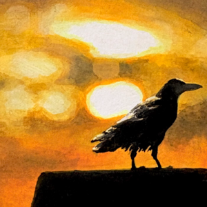 69 君臣组：ENTJ✖️INTJ 观局体系建立丨科学理智VS玄学魔法