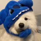 唔使急饮杯茶先