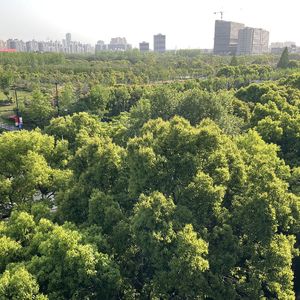 二师父读书会