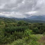 娜米的虚拟生活