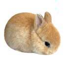 宇宙尽头的咖啡花店主理人