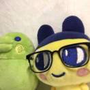 sugar_cl