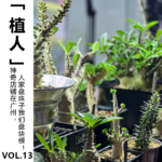 Vol.13【植人】神奇店铺在广州，人家盘珠子我们盘块根！