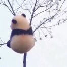 小卒_