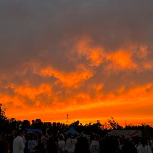 Vol.4 从体育场到Livehouse:线下演出如何成为成年人的精神避难所?