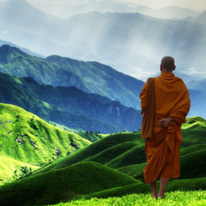 愿有情人终成道友