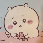 IMcocobean