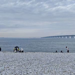 100、老登如何看惯小登，并在牛市中保护好自己