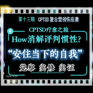 旷野漫谈||第十三期（4）消解“评判惯性”：安住当下，实修实证