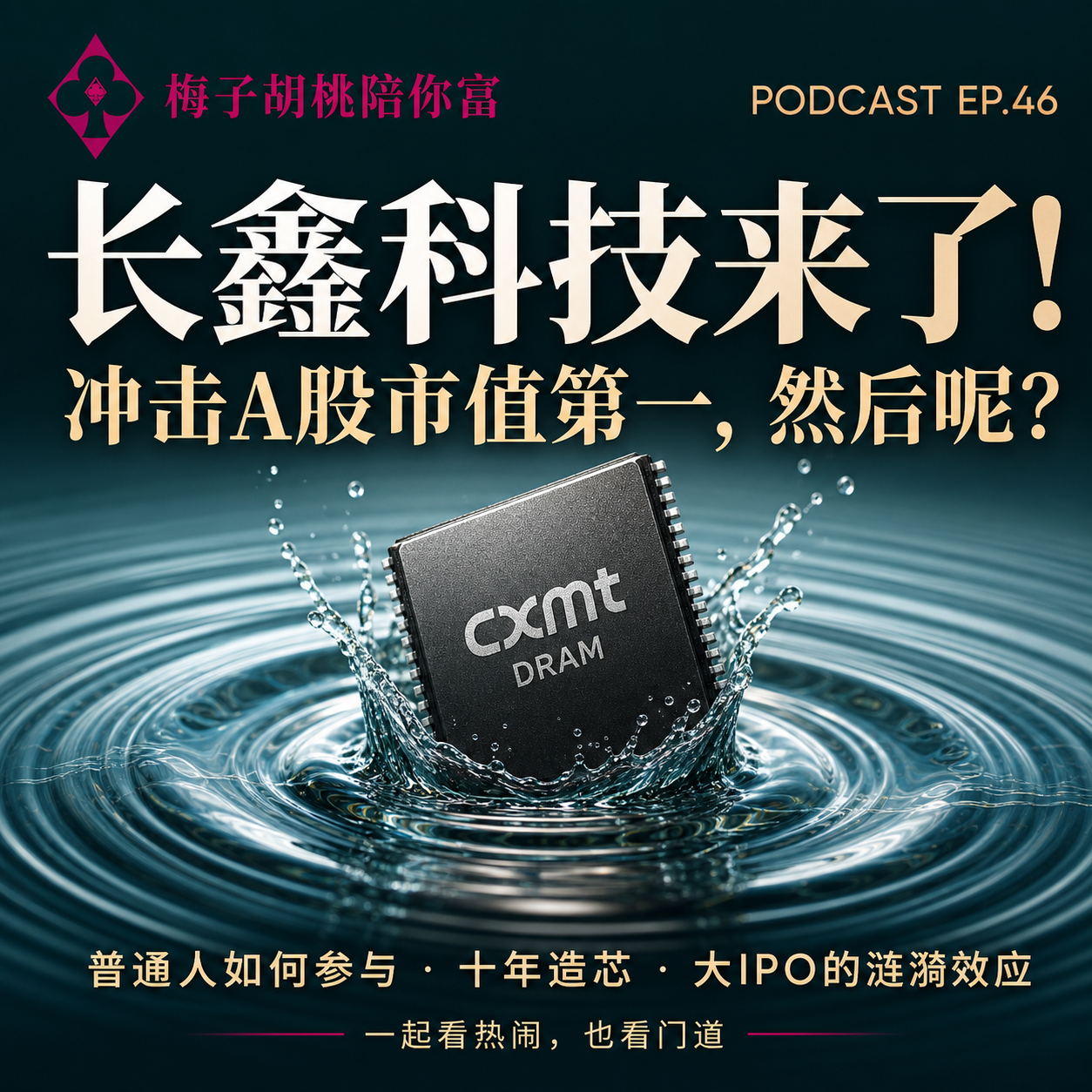 46.长鑫科技来了！冲击A股市值第一，一场巨型IPO的蝴蝶效应 episode artwork