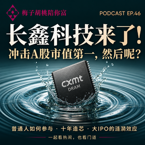 46.长鑫科技来了！冲击A股市值第一，一场巨型IPO的蝴蝶效应