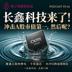 46.长鑫科技来了！冲击A股市值第一，一场巨型IPO的蝴蝶效应