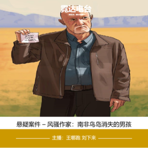 16. 风骚作家:南非《鸟岛上失踪的男孩》