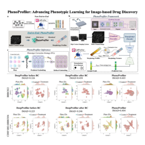 205-PhenoProfiler: 图像药物发现表型学习