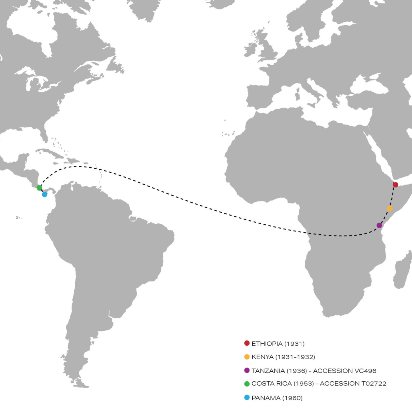 106 透过商业本质看巴拿马瑰夏，欢迎来到真实世界！