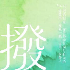 Vol.43 烈焰归虚：在芒种的焦灼与时间的缝隙里，安顿一颗“无用”的种子