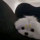 77快睡觉