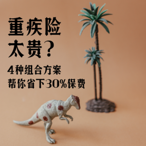 Vol.4 重疾险太贵？4种组合方案帮你省下30%保费