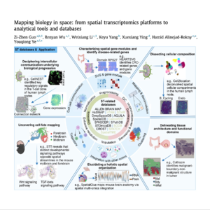 530-空间转录组学技术与分析方法全景综述
