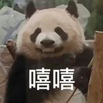 定禾