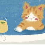 猫猫味的拥抱