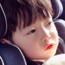 蓝山上的铁比卡