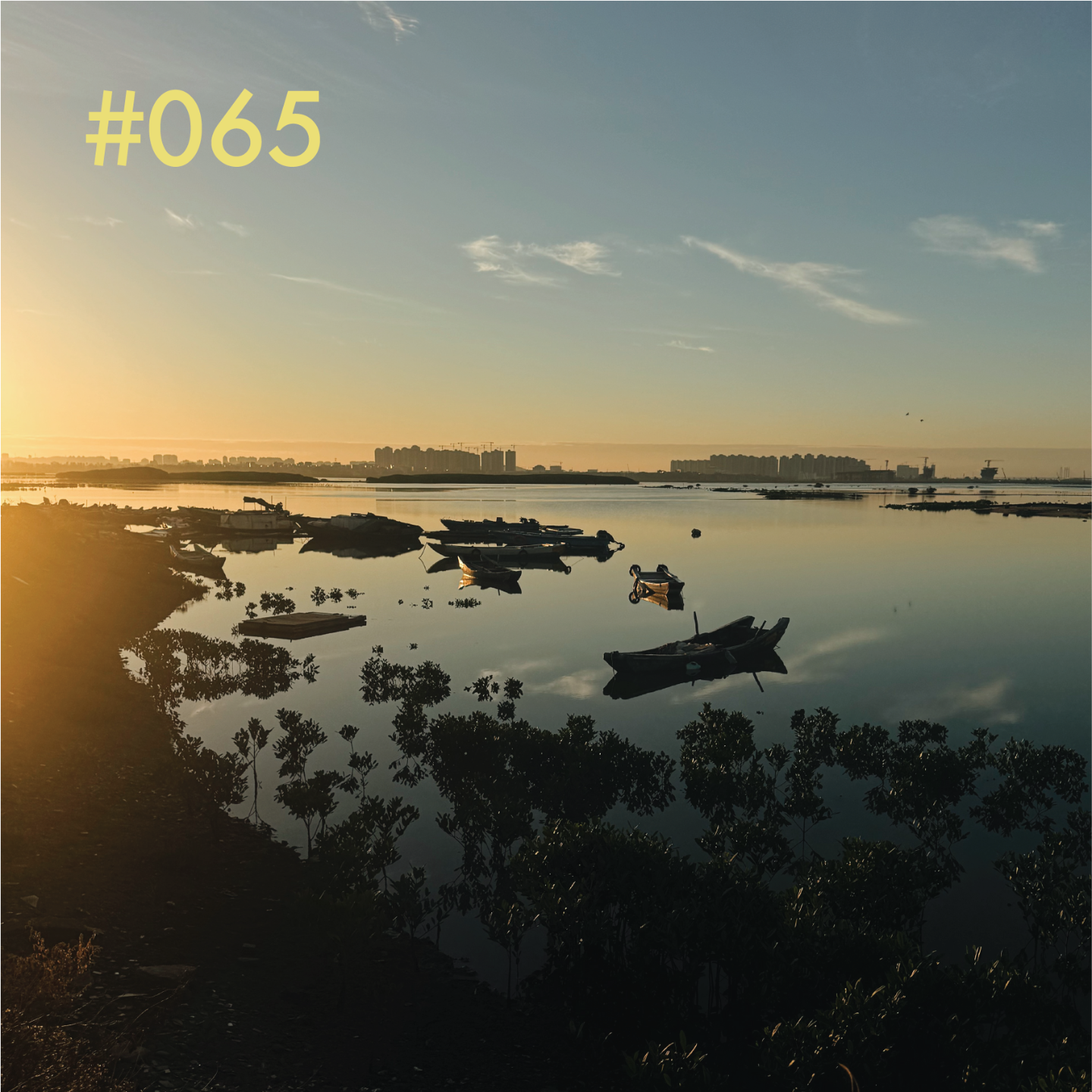 vol.65 还有什么事能像跑步那样，只要去做了就能进步呢？