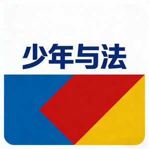 少年与法
