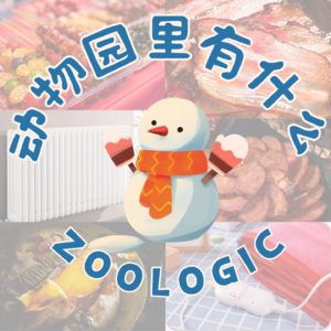 你的冬天什么味道？| 是童年冰糖葫芦，或韩剧同款浪漫，暖气vs电热毯？