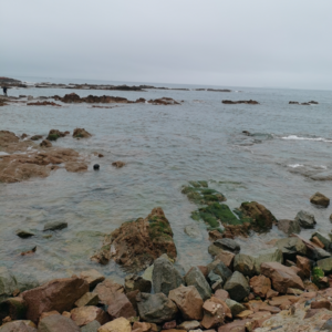 VOL127.和我妹妹大吵一架：“和解”这个词汇我听得直犯恶心。