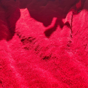 42. 抓住阳光的瞬间，出门遛遛弯，把心情晒得暖烘烘