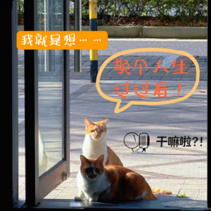 88 干嘛啦|我就是想换个人生过过看|想退休想变ATM机就是不想做现在的自己了！